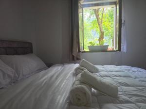 Plisi i Bardhe Agroturizem
