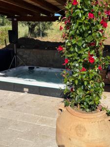 Agriturismo Mamma Maria