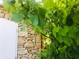 southEiFEL-FiNCA