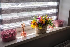 Apartament 16