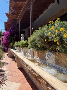 Costas Inn