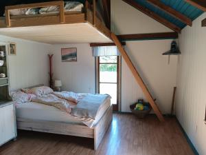 Forest Cabin Black Stream - Wilderness Experience