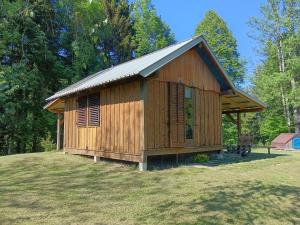 Forest Cabin Black Stream - Wilderness Experience