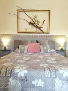 B&B SHARDANA