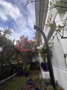 3Bed Apartment- Garden Private Pool Free Parking