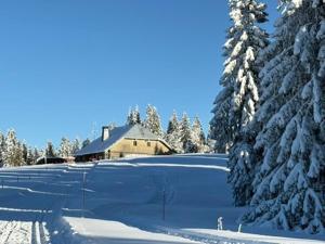 Duplex cosy pour 2 personnes à Rochejean