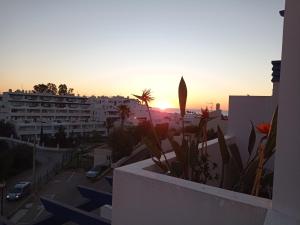 La Solana