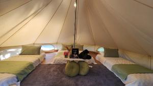 Elysera Glamping & Resort