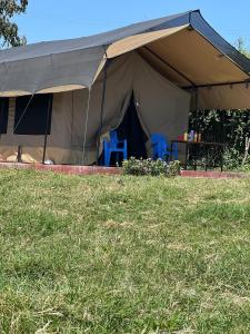 Oloiba Nkuti safari camps