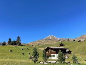 Chalet Söni