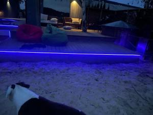 Moonloungeresort