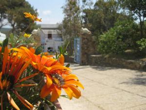 Hotel Villa Belfiori img35