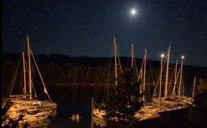 Molat Bay View