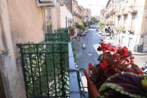 Street Of Plebiscito House