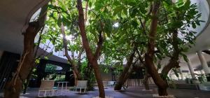 Tambuli Tower C Unit 5D