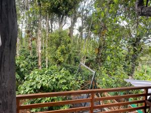 Aashiana Plantation Retreat