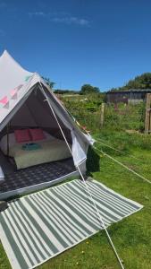 Emilies Bell Tent