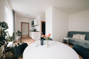 Apartmán ERUDITO Královský vršek Jihlava