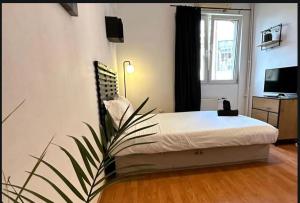Studio Brutus Square