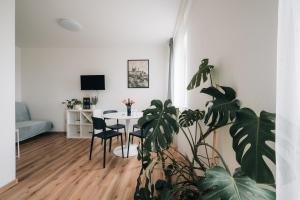 Apartmán ERUDITO Královský vršek Jihlava