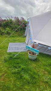 Bay Breeze Bell Tent with Sea view