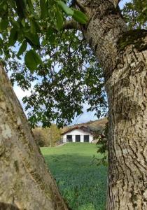 El Refugio del Oso Apartamentos rurales 2
