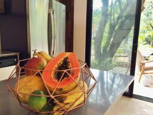 Nalu Nosara Pool Villa Jardin