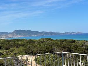 VILLA VERDE magnifica villa sulle dune