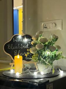 Bluebird and bloom