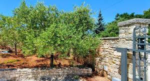 Sunflower House Istria - Tuscany Apartment