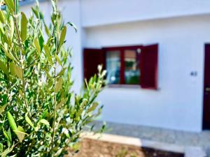 Apartment Bellaria