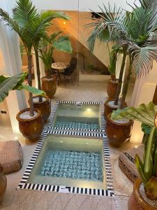Safae House - Cozy Riad in a good location