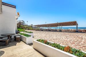 Dog-Friendly Oceanfront Villa with Pool Access, Rooftop Patio, Full Kitchen