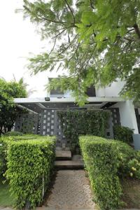 Tuệ House