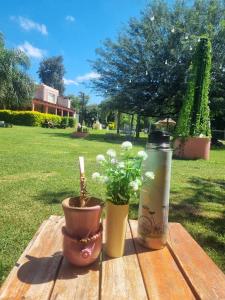 Finca aonikenk