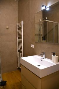 Alpine Escape 1BR Apartment A