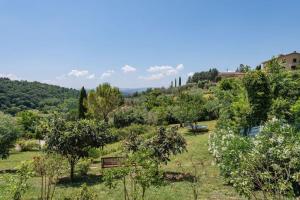 Oliveta Rondine