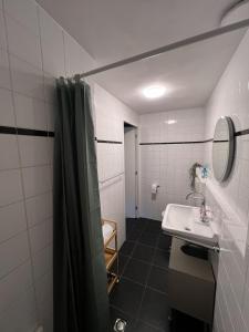 Vakantiehuis Atelier aan de Linge