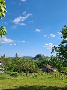 Panoráma Vendégház