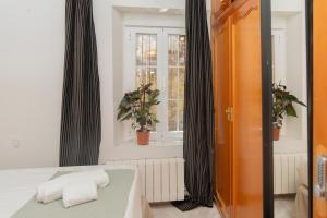 Raiz Natura Coliving Miraflores