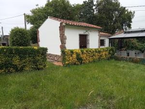 El capricho de la Providencia