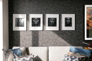 Diseno Comodidad Spa Gym Pool Cowork