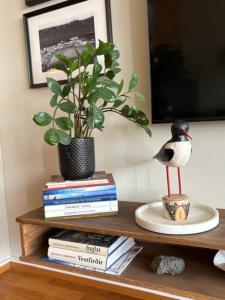 Great location in Reykjavík, sleeps 5,free parking