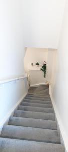 Bee Kinetic - Modern Penthouse Duplex WiFi Netflix with Paid Parking