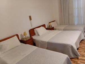 Hotel guido palace