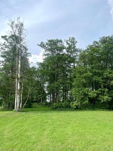 Mirabelka - domek