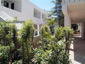 Vieste Residence Gallo Con Piscina