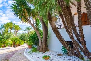 Mediterranean Luxe Villa • 8PAX • Pool • BBQ •Cozy