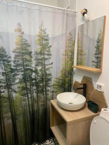Apartament Tudor