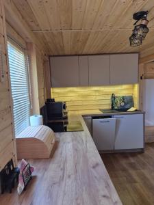 Domek pod wierzbami